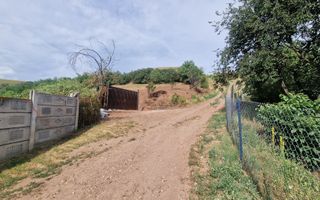 Teren intravilan intre Micesti si Sard - Poză 1
