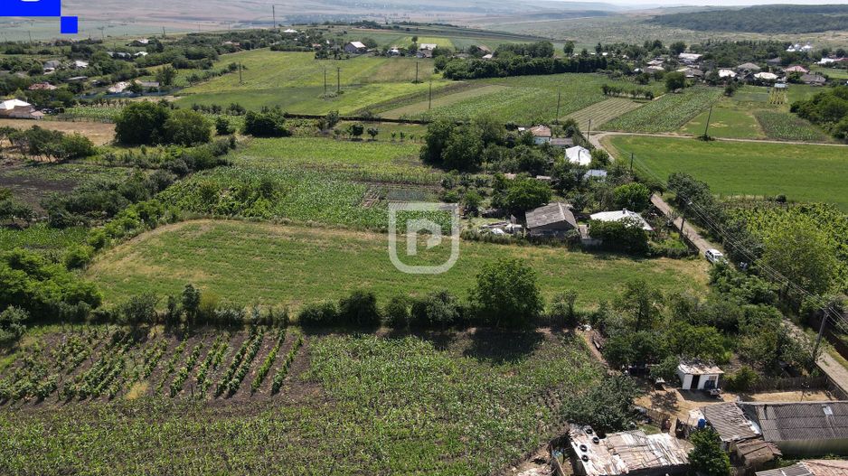 Teren - Ionășeni | BOTOȘANI | 3.285mp - Poză 5