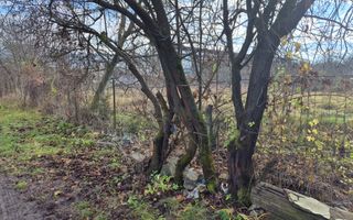 TEREN INTRAVILAN 503 MP – ZONA CASTELUL CORVIN / HOTEL WERK – 16.900 € - Poză 8