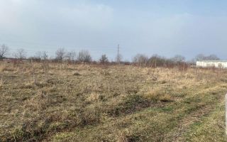 Posibilitate investitie! Vanzare teren intravilan in Razvad - Poză 5