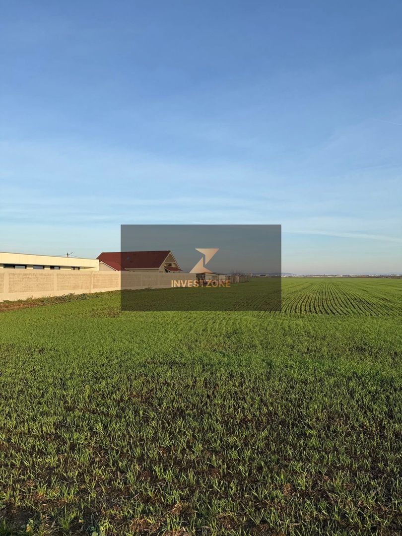 27.200 mp comuna Santandrei - Bihor - Oradea - Poză 4