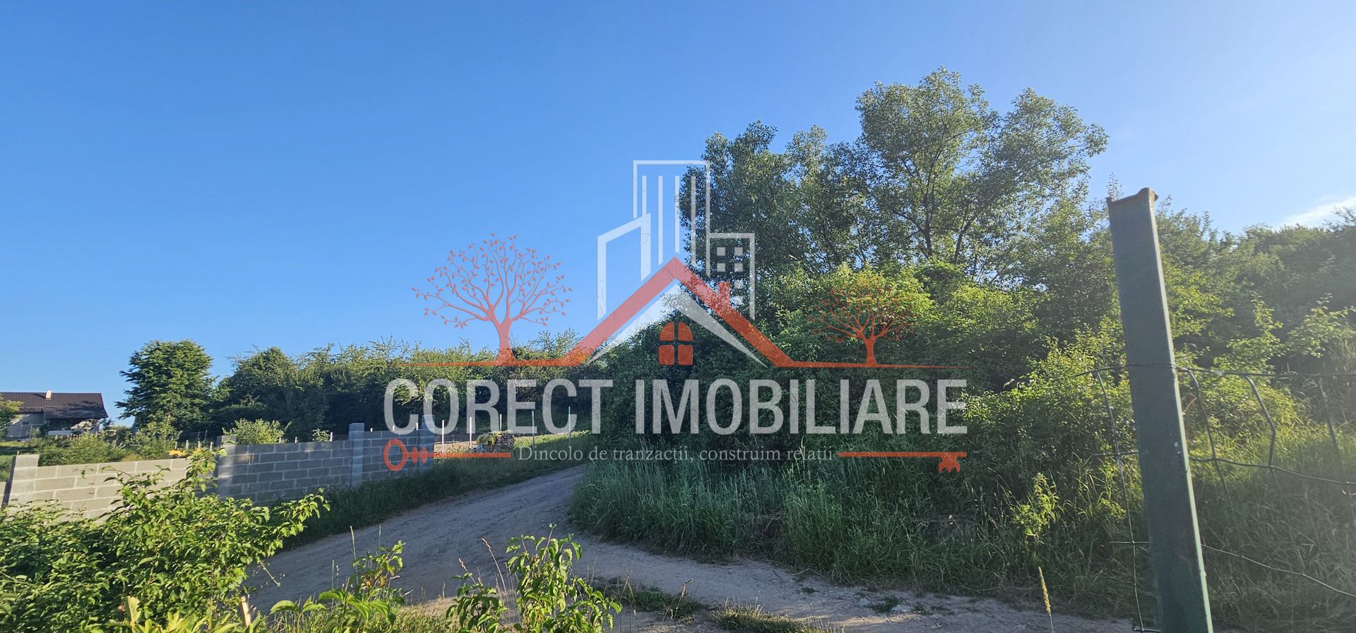 Teren extravilan 1300 mp - Poză 5