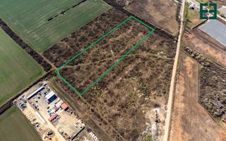 Teren intravilan cu PUZ aprobat - 23700 mp - Ghiroda - Timiș - Poză 8