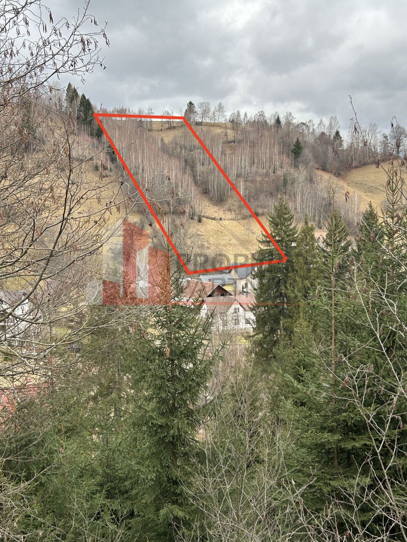 Teren Bran, sat Poarta 15.646 mp intravilan. - Poză 1
