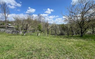 Conac 10 camere | renovat integral | Arefu | Baraj Vidraru - Poză 8