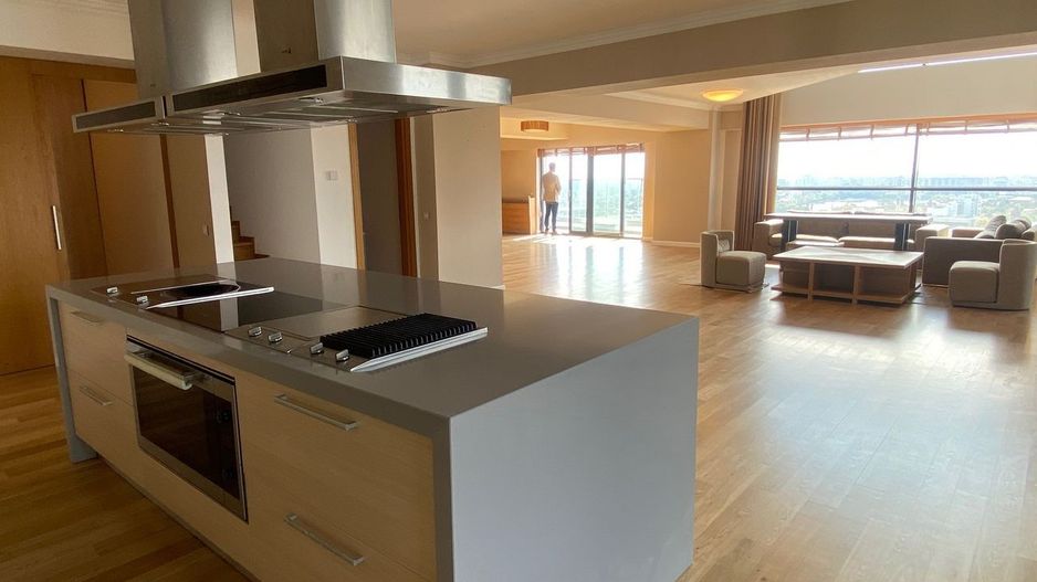 Duplex spectaculos 5 camere 266mp balcoane 32mp Pipera, Floreasca Nord - Poză 5
