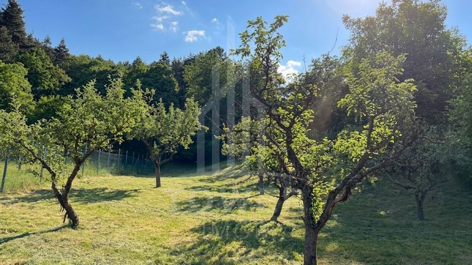 Casă rustică de vânzare în Tilișca, (Marginimea Sibiului) - Poză 22