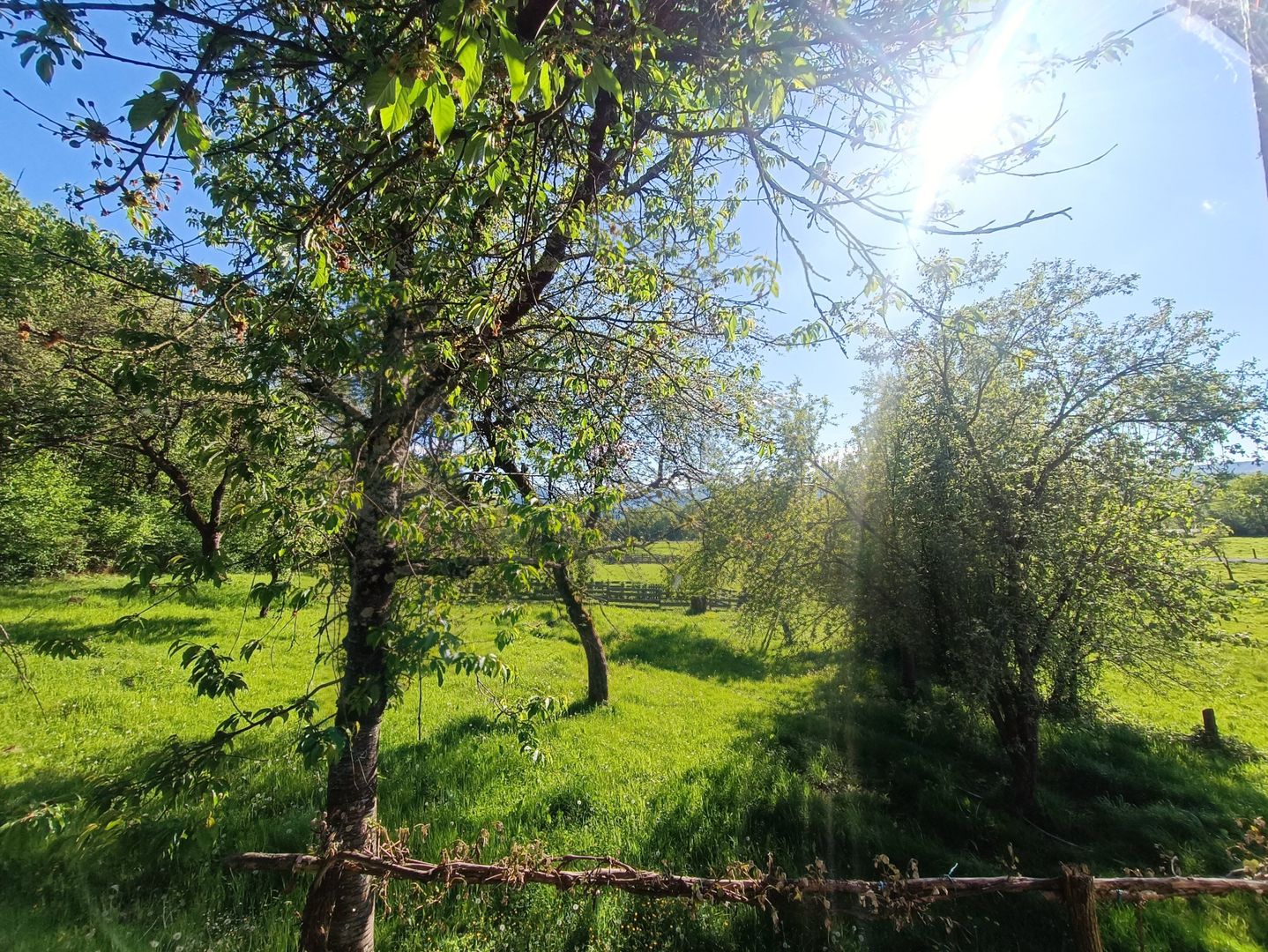 Descoperă căsuța ta de vis la poalele Munților Apuseni - Poză 18