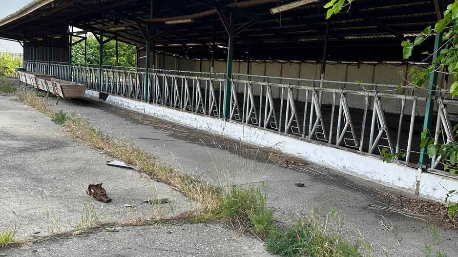 Teren 9.508 mp cu 2 fronturi stradale – Sofronea, Arad - Poză 4