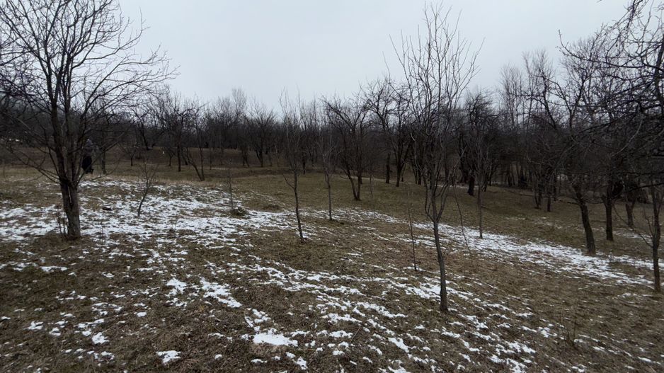 Teren 4652 mp cu izvor pe el, Lunca Mare, lângă păstrăvăria Doftana - Poză 13