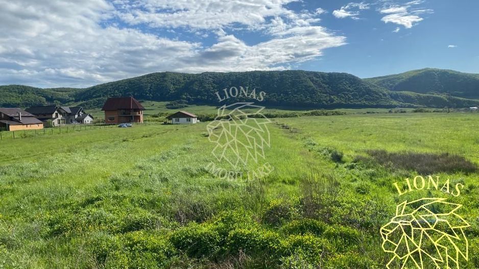 Teren intravilan-Crainimat -3000mp-ideal investitie construire casa - Poză 3