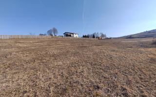 Teren de vanare | 800 mp | Colonia Sopor - Poză 2