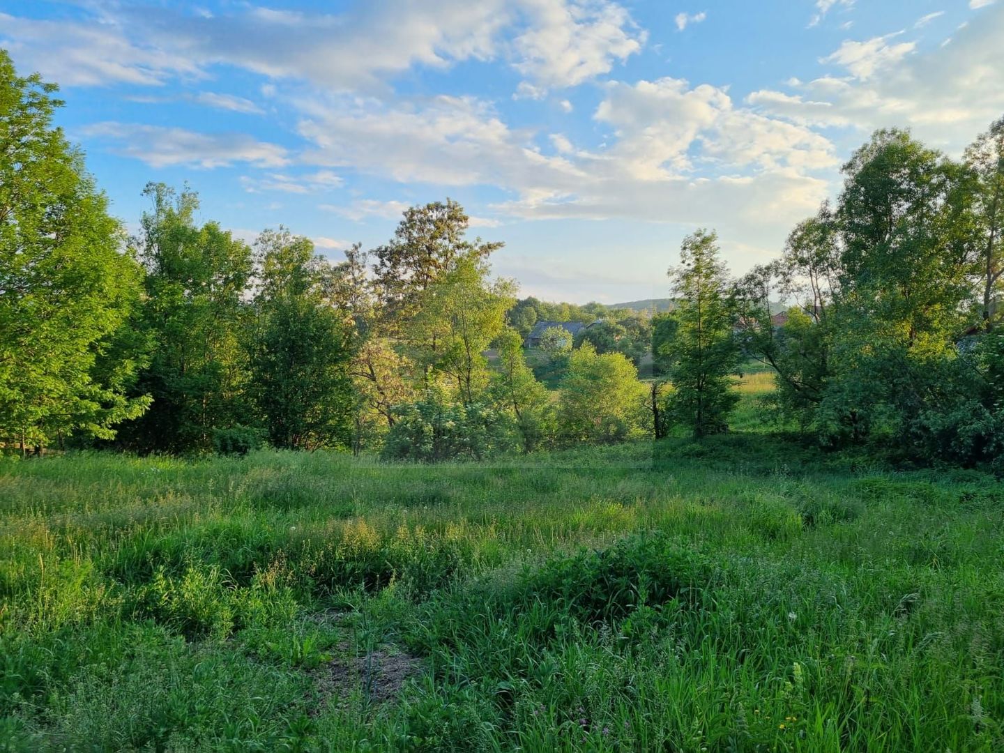 Teren Intravilan Ilisesti/Suceava - Poză 10