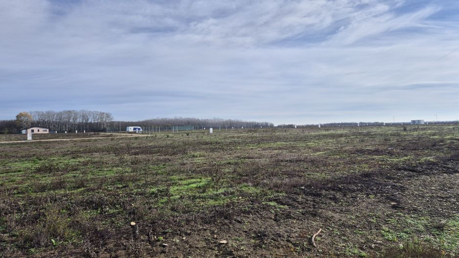 Loturi de teren 638 mp - curent tras la teren - Crevedia - Poză 4