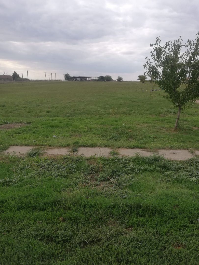 Ferma de vânzare - Poză 13