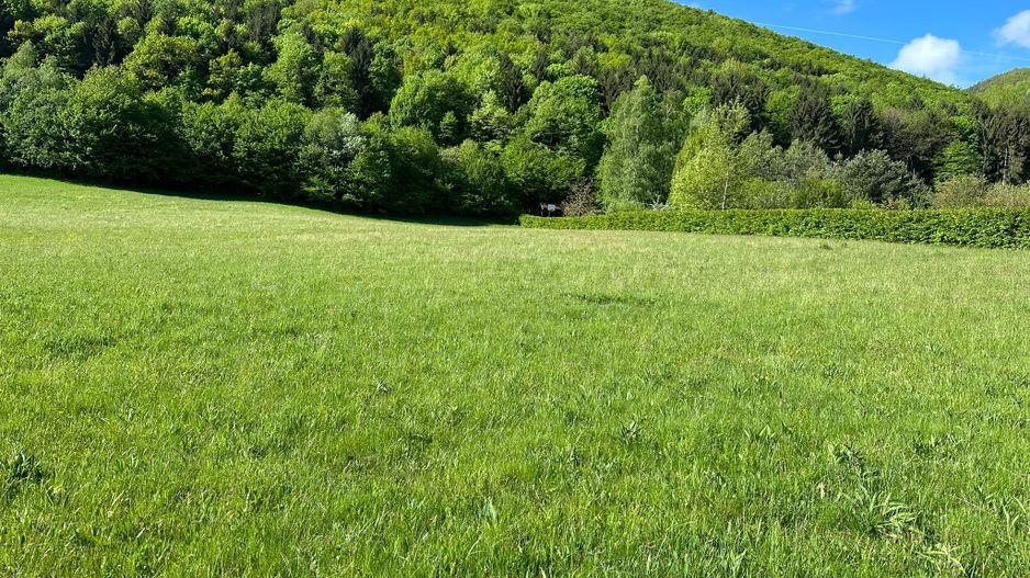 Teren Intravilan in Tocile-priveliste deosebita - Sadu - Sibiu - Poză 7