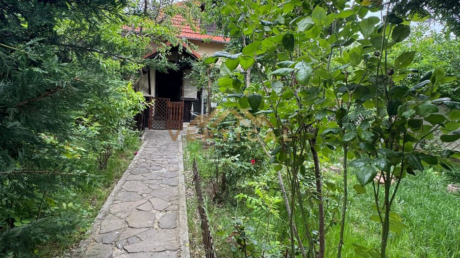 Casa P+M, comuna Berceni - Poză 10