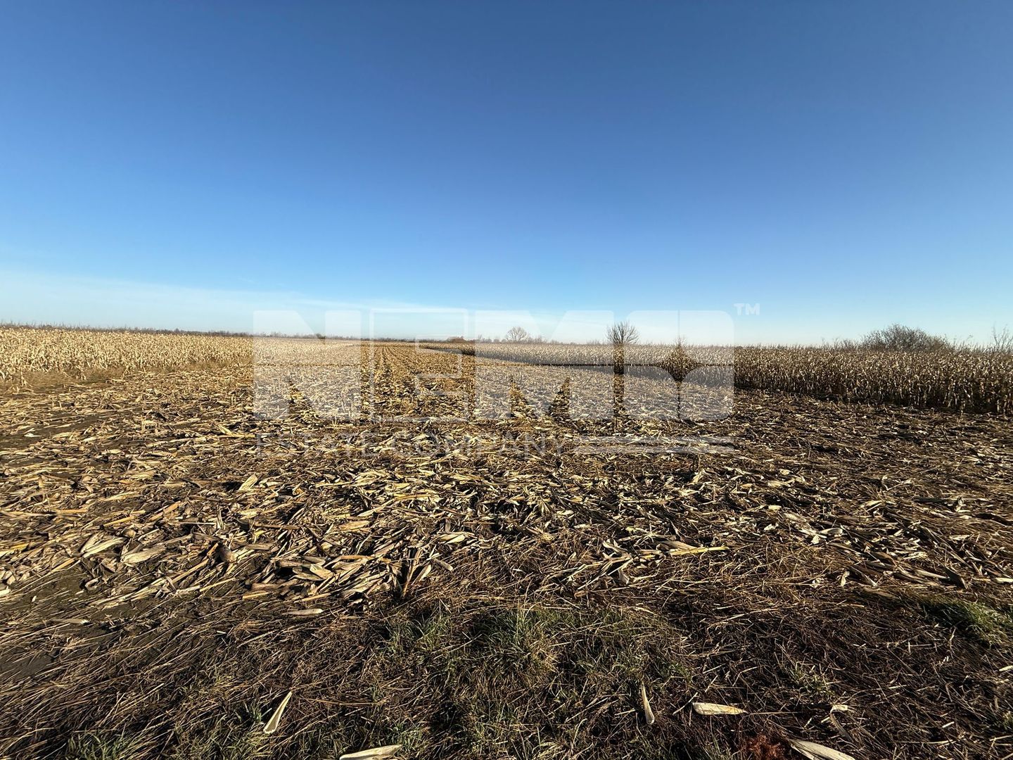 TEREN EXTRAVILAN  51 ARI |  HORODNIC DE JOS  | - Poză 2