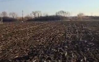 Teren Intravilan | 1780 mp | Sânmartin - Poză 8