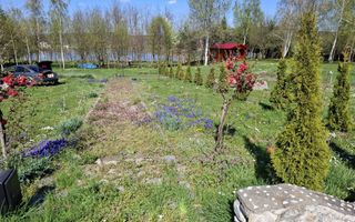 Teren Intravilan | 1150 mp | Săliște - Poză 10