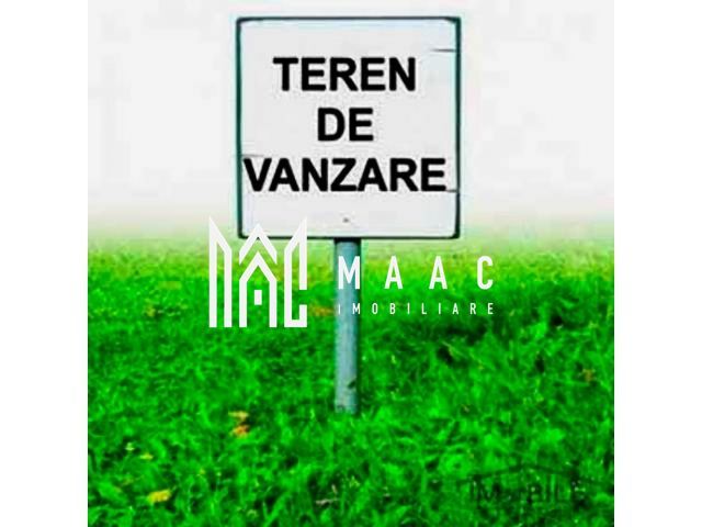 Teren Intravilan | 6000 mp | Turnisor - Poză 1