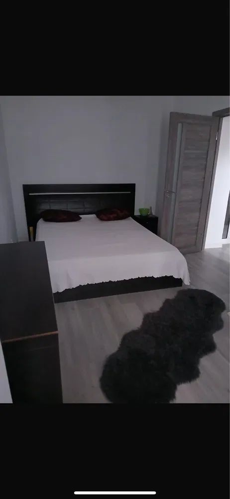 AP. 2 CAMERE- DRISTOR, BLOC REABILITAT, BUCATARIE INCHISA, MODERN - Poză 8