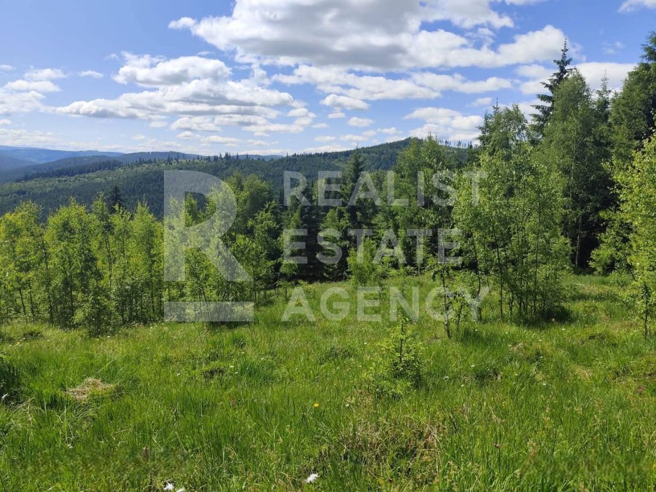 Vânzare, teren, extravilan, Suceava - Poză 2