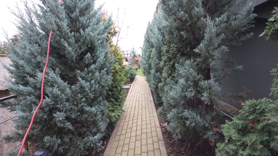 Casa pretabila birouri, camin de batrani - Poză 135