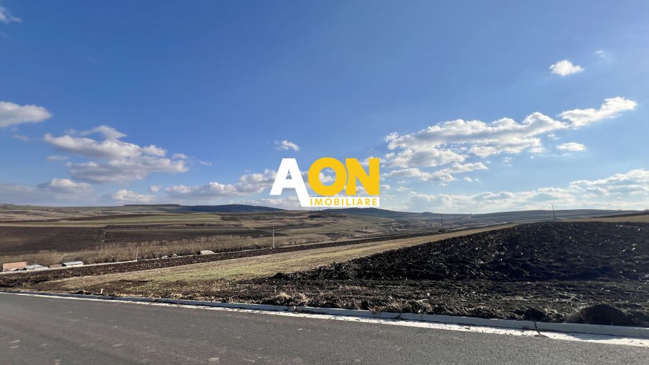 2,314 Mp in Daia Romana, toate utilitatile la asfalt, 80ml deschidere - Poză 11