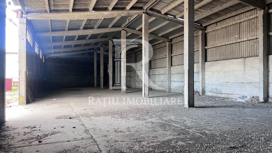 PLATFORMĂ INDUSTRIALĂ STRATEGICĂ ÎN ORADEA –  POTENȚIAL OPERATIONAL - Poză 1