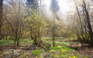 Casă cu teren generos 1.944 mp, Măgulicea, Vârfurile - Poză 17