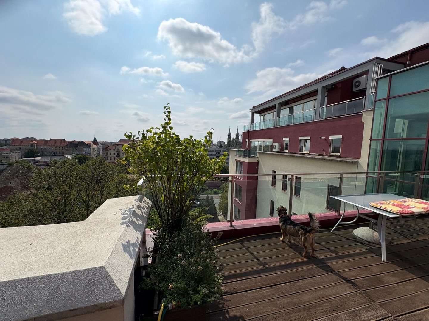 Luxury penthouse for rent close to the Center of Timisoara - Poză 4