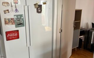 Apartament 3  camere  Buziasului - Poză 7