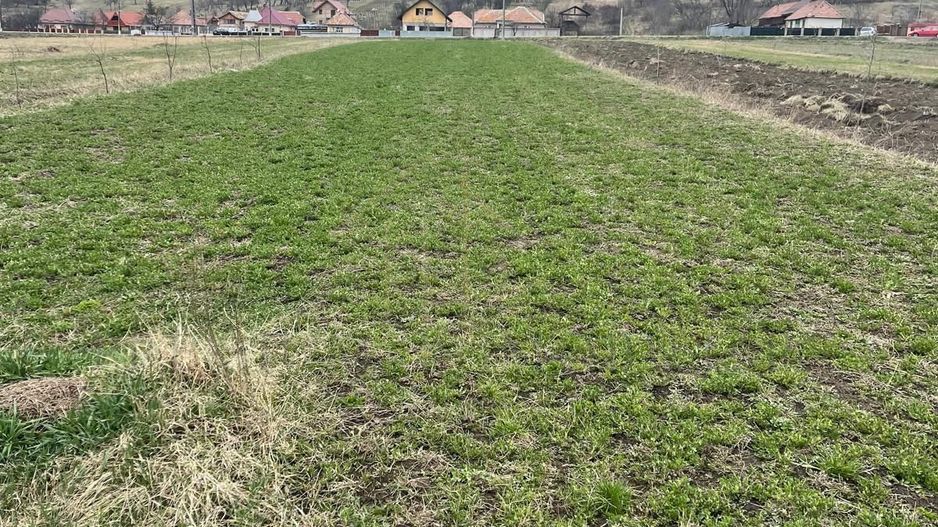 Vânzare teren 3145 mp – Mănăstirea Cașin, Onești - Poză 7