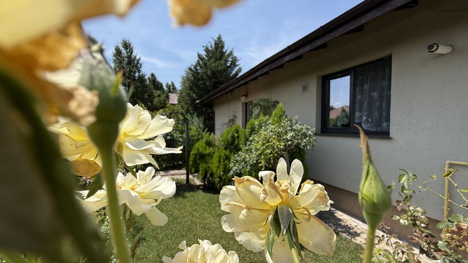 Casa pe parter Balotesti | Teren 600 mp - Poză 1