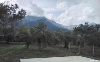 Skala Potamia Thassos-casa piatră+studio+cabană lemn,dependinte, 2500mp teren,700m până la mare.... - Poză 2