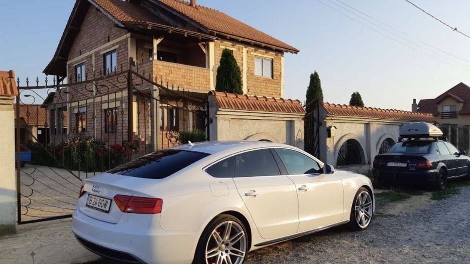 Casa de vanzare P+1, 4 Garaje, Vetis - Poză 3