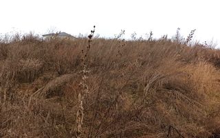 Teren intravilan 600 mp-ideal casa-Valea Sigmirului - Poză 1