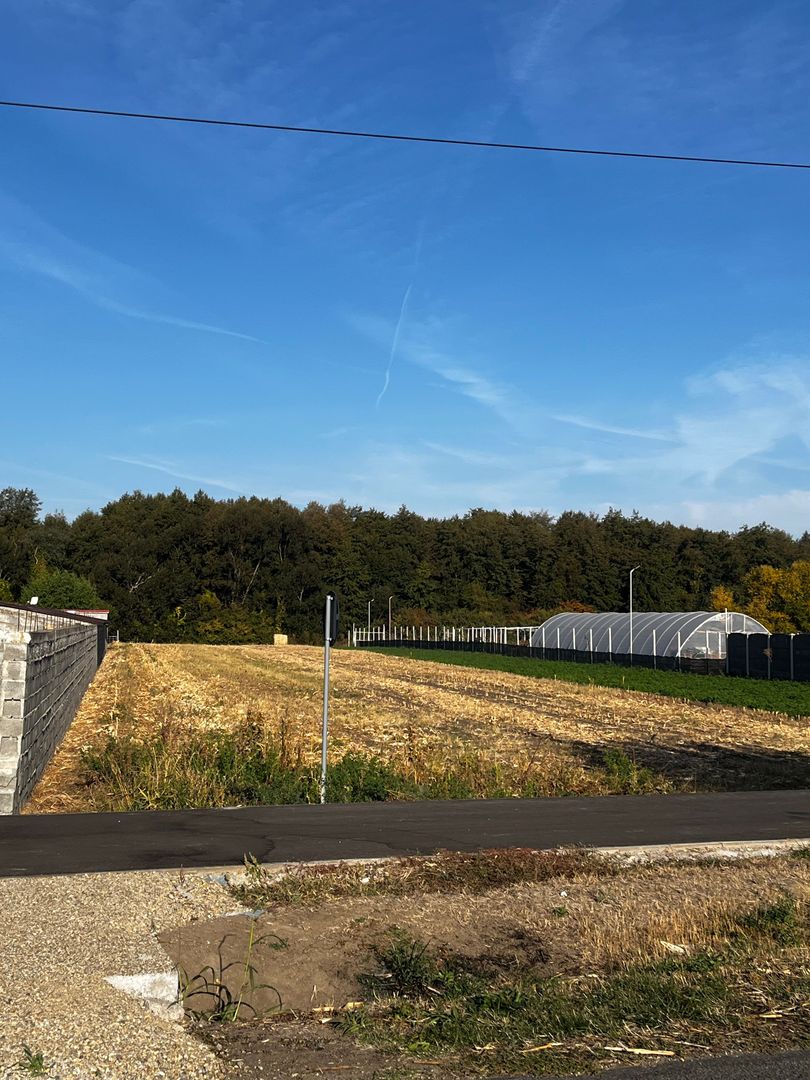 De vanzare 2 terenuri intravilane in Santau Mic – 1.000 mp fiecare - Poză 1
