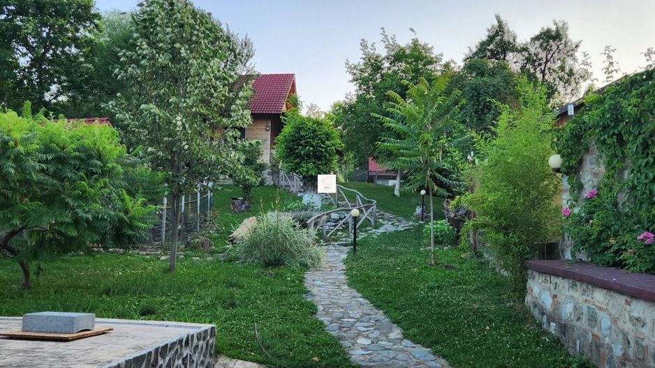 Vila Horezu Romanii de Jos - Poză 17