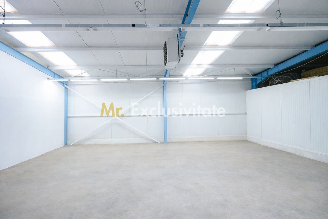 HALA INDUSTRIALA 595 MP | DN 65B – BRADU | CURTE 1.466 MP | AUTOSTRADA - Poză 5