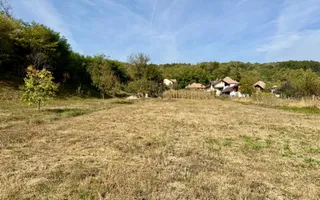 Casă cu teren de peste 3.000 mp, livadă și vie – Bujoreni, Gura Vaii - Poză 23