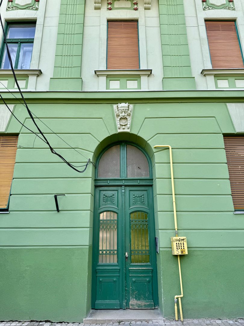 Apartament in clădire istorică P-ta Plevnei cu vedere parc - Poză 36