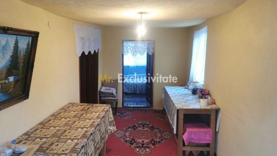 De vanzare casa in Argetoaia cu teren 7.000 mp - Poză 7