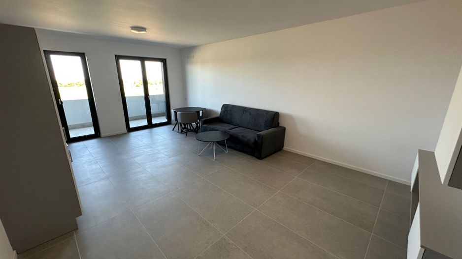 Apartament 2 camere Torontalului - Veterinary Faculty - Poză 11