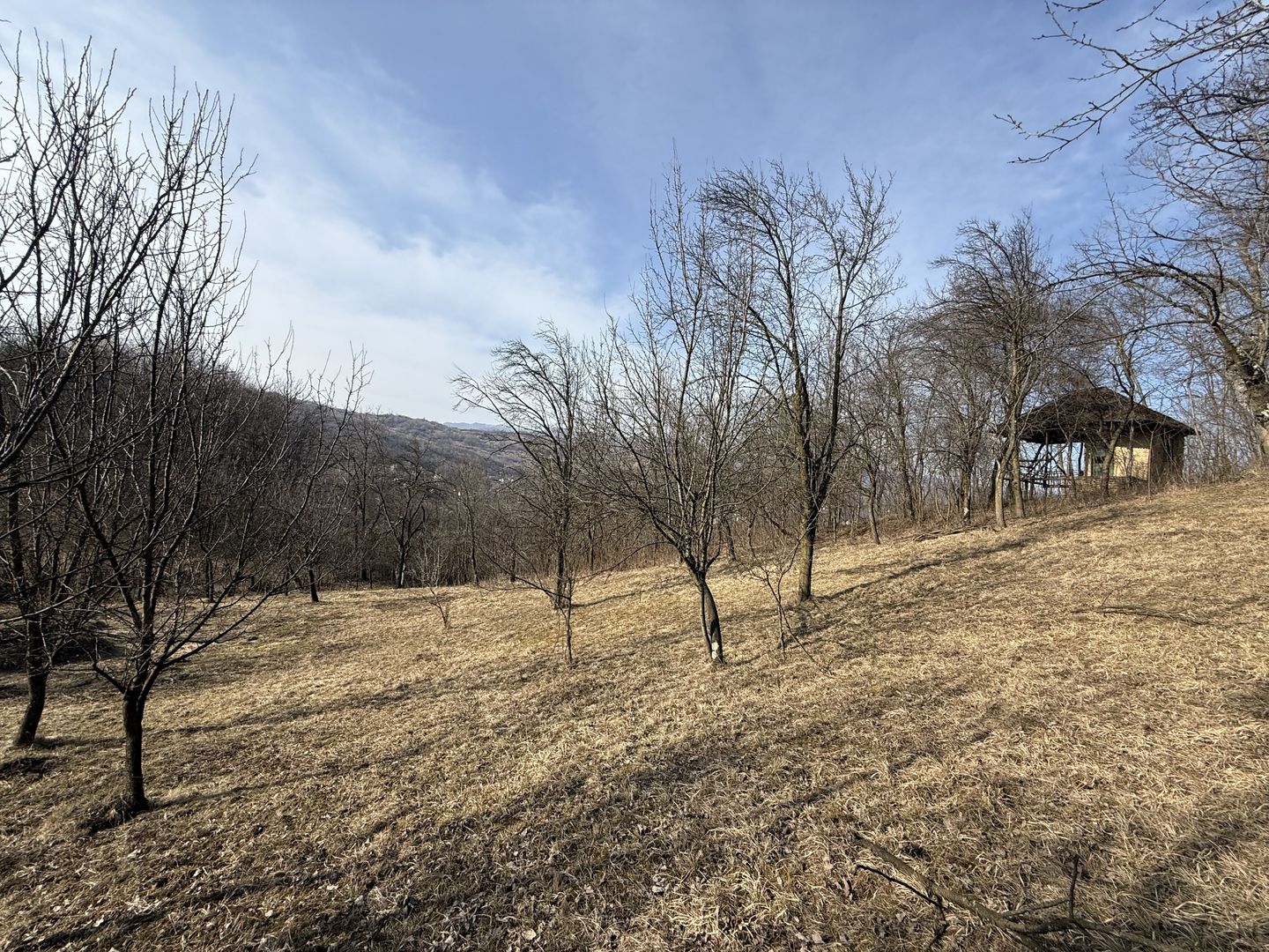 Teren intravilan 2788 mp deschidere 55 ml cu vedere panoramica ! - Poză 2