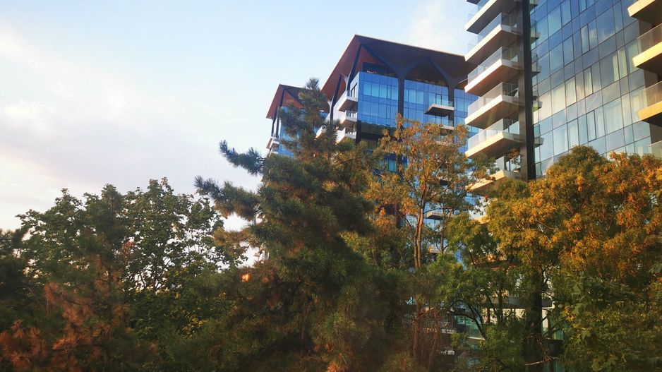 APARTAMENT LUX, 3 CAMERE, DOROBANTI - Poză 8
