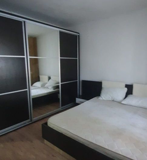 APARTAMENT 2 CAMERE ZONA INEL 2 / DEZROBIRII - Poză 8