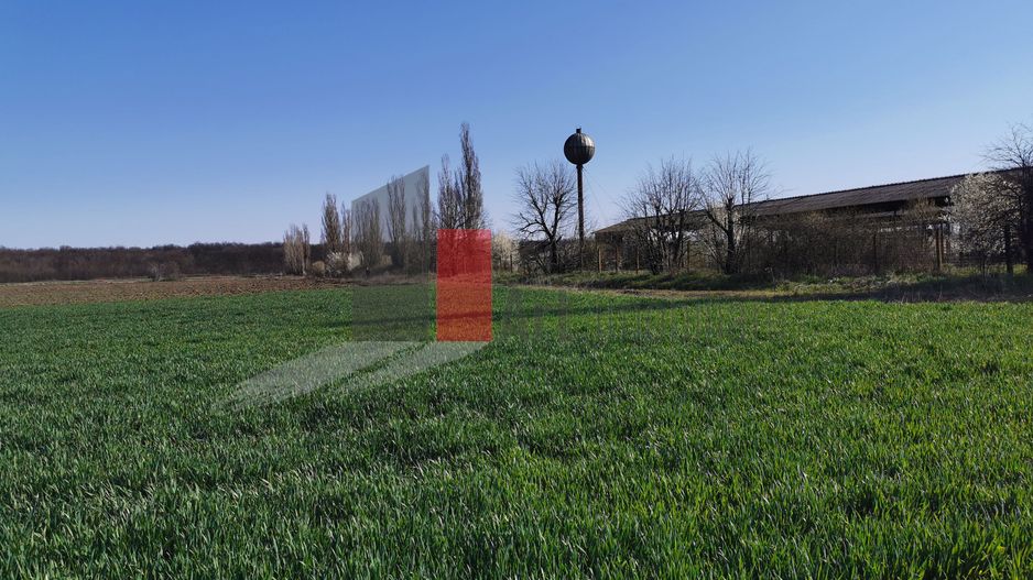 Teren in apropiere de Autostrada Bucuresti Ploiesti - Poză 2