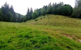 Teren intravilan langa Poiana Brașov, 52 mp front strdal, Utilitati in zona - Poză 5